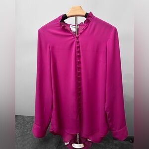 Express Portifino Slim Pink Button-down  Sheer Blouse Large